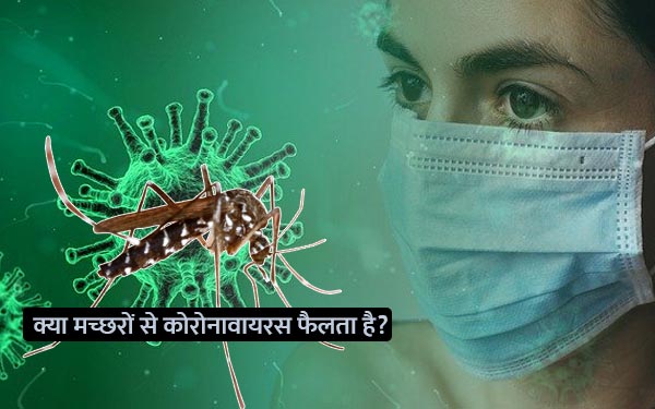 Mosquitoes Spread Coronavirus In Hindi 1