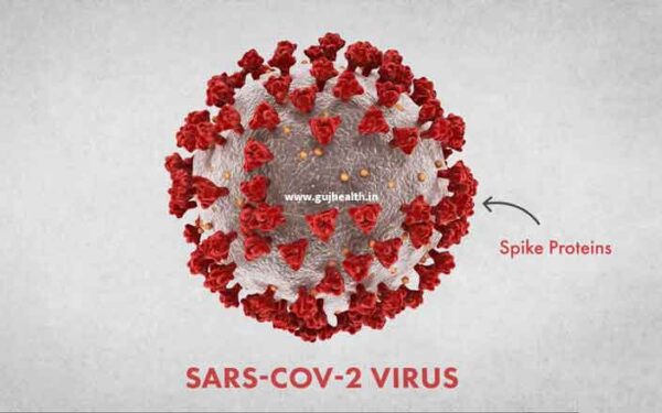 SARS COV 2 Virus Photo Copy